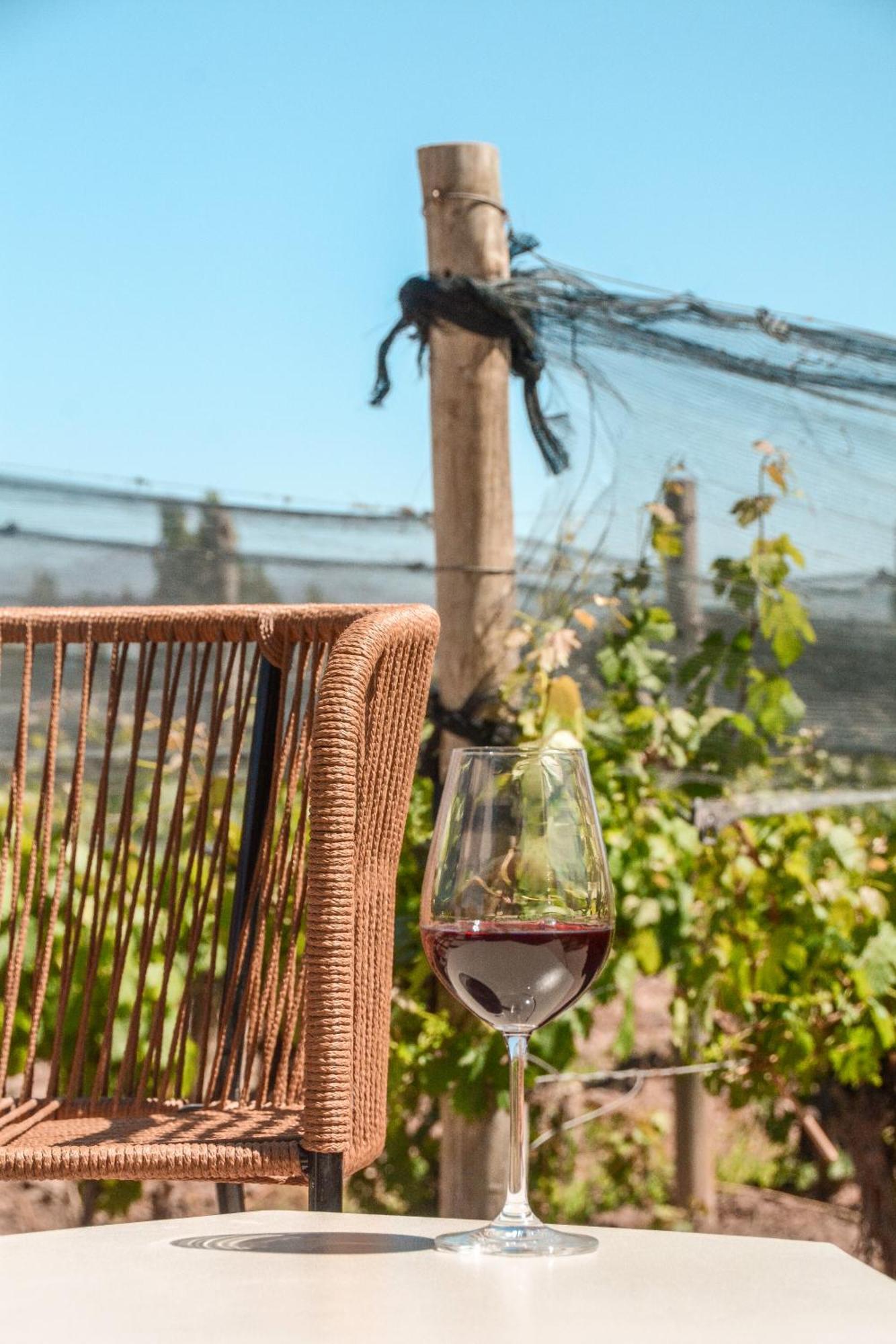 Agrelo Vines Lodge Екстер'єр фото