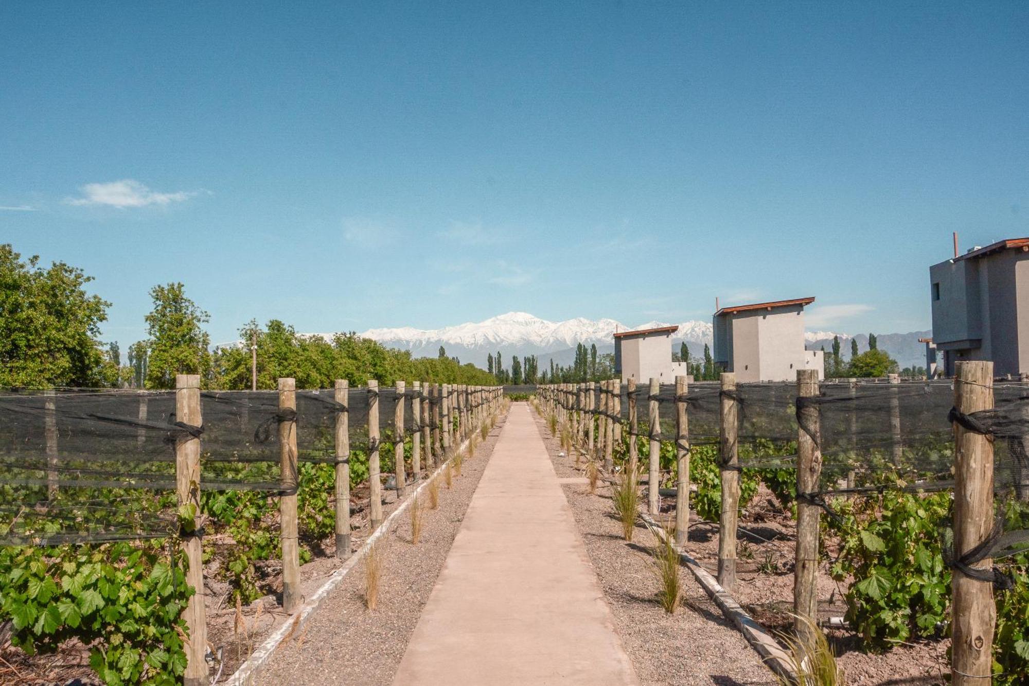 Agrelo Vines Lodge Екстер'єр фото