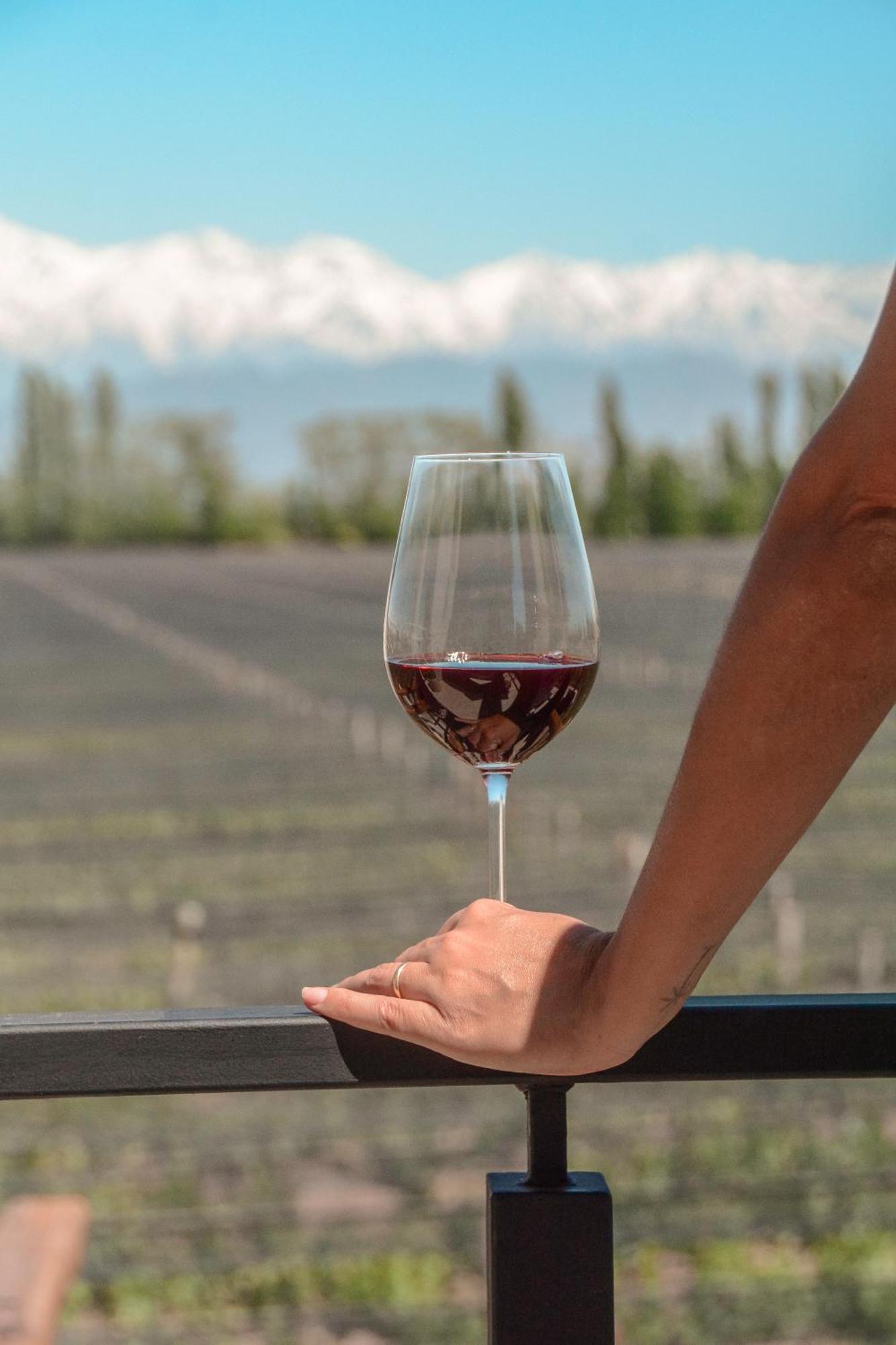 Agrelo Vines Lodge Екстер'єр фото