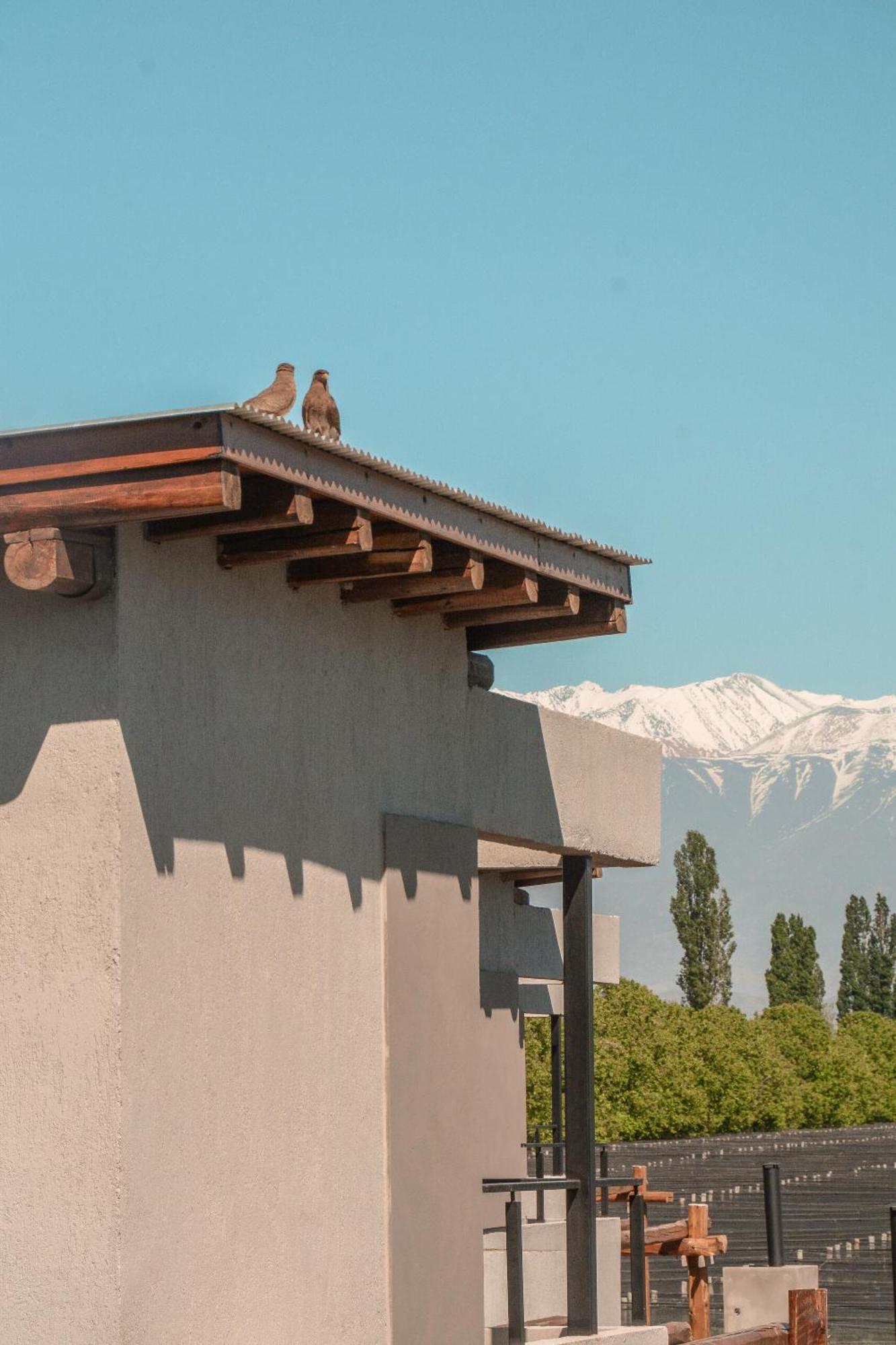 Agrelo Vines Lodge Екстер'єр фото